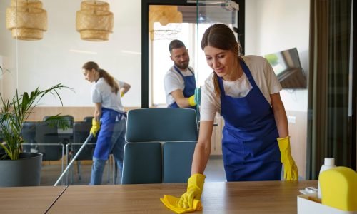 2150520596 Commercial Cleaning